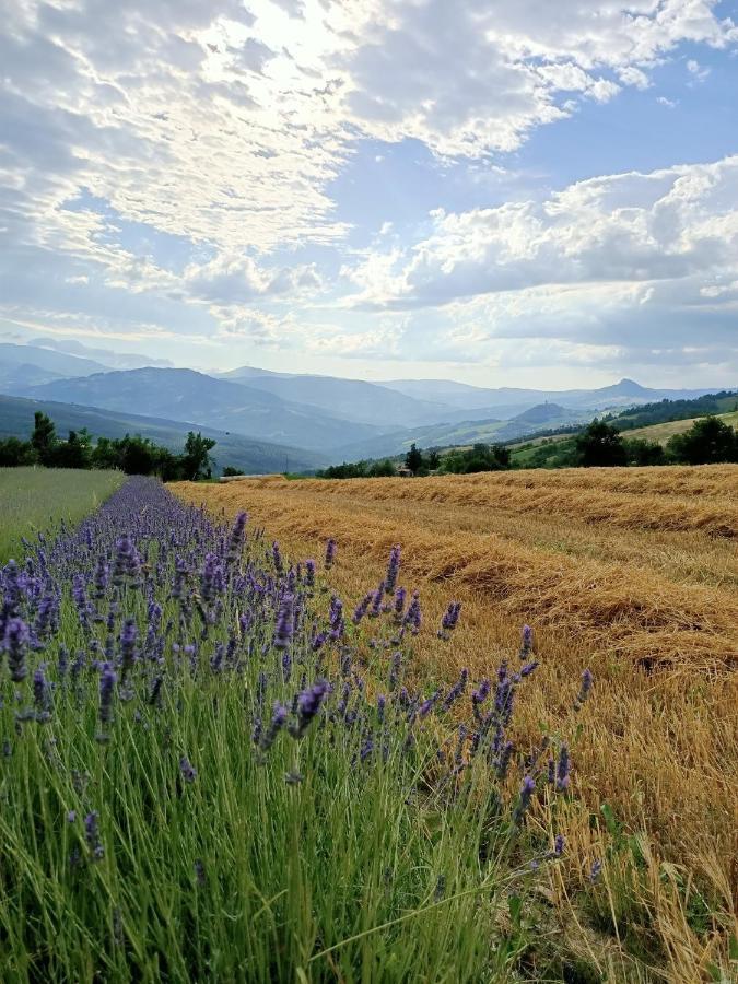 Agriturismo La Casetta - Ospitalita Rurale Familiare Montese Ngoại thất bức ảnh