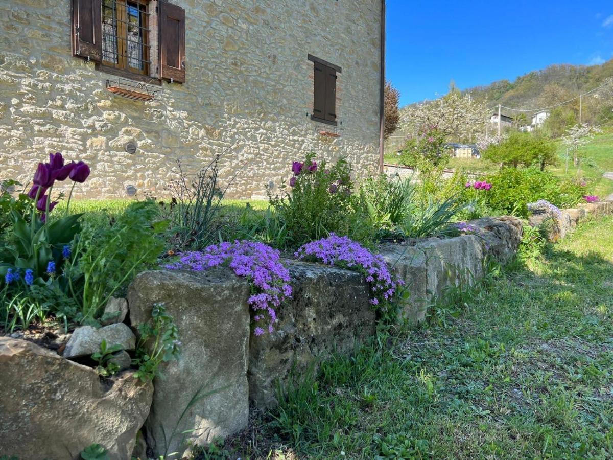 Agriturismo La Casetta - Ospitalita Rurale Familiare Montese Ngoại thất bức ảnh